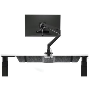 Align Monitor Arm